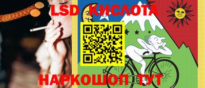 гашик Аргун