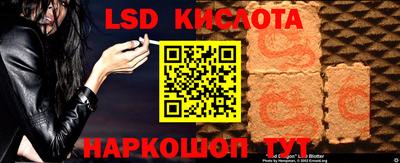 гашик Аргун
