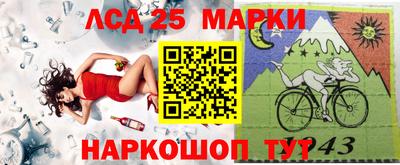 гашик Аргун