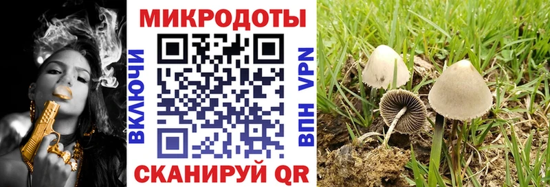 blacksprut онион  Бердск  Галлюциногенные грибы мухоморы  магазин продажи  