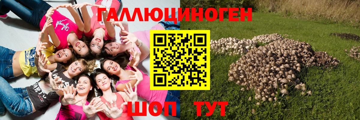 Псилоцибиновые грибы Magic Shrooms Бердск