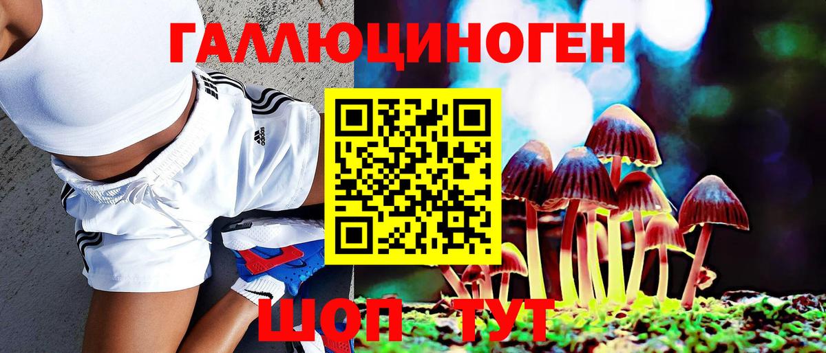 Галлюциногенные грибы ЛСД  Псилоцибиновые грибы Cubensis  Бердск 